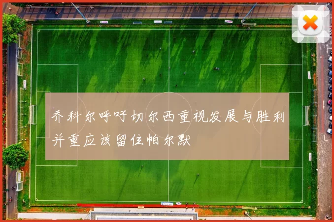乔科尔呼吁切尔西重视发展与胜利并重应该留住帕尔默